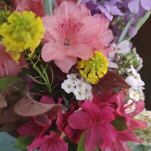 Meet your Posher, Irene